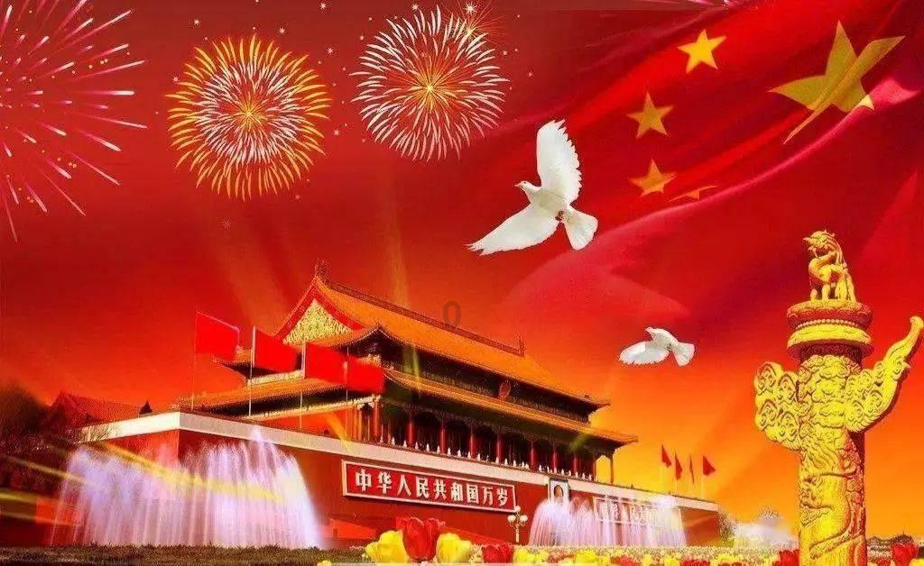 逃离金刚鹦鹉森林